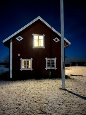 Vinberga in Enhörna